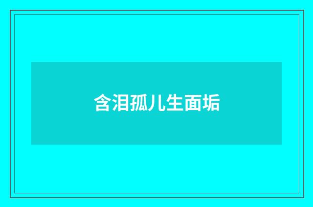 含泪孤儿生面垢