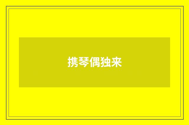 携琴偶独来