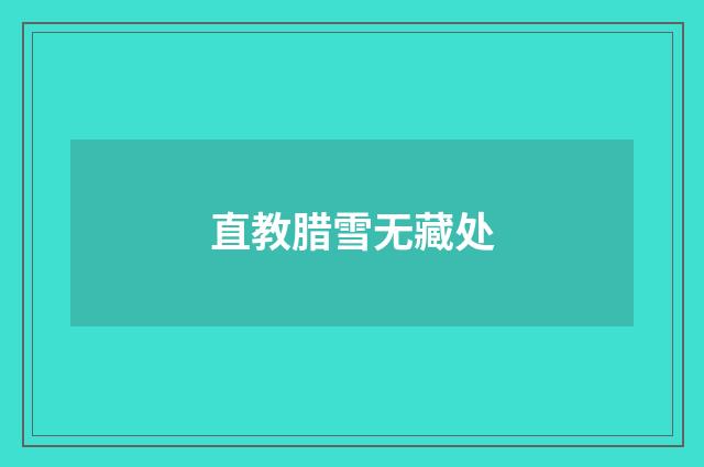 直教腊雪无藏处