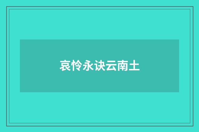 哀怜永诀云南土
