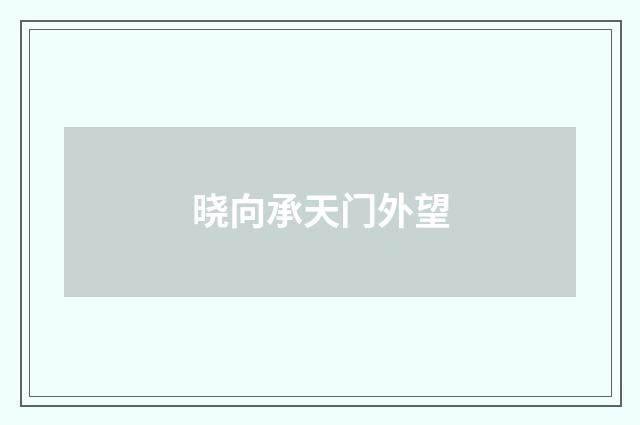 晓向承天门外望