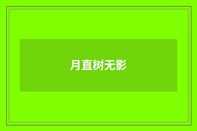 月直树无影