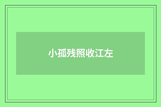 小孤残照收江左