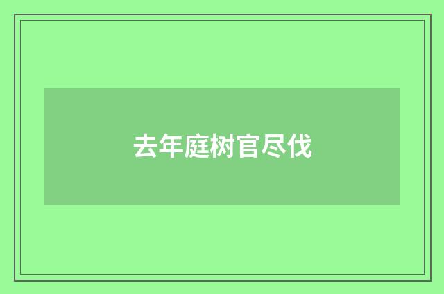 去年庭树官尽伐