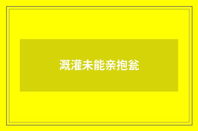 溉灌未能亲抱瓮