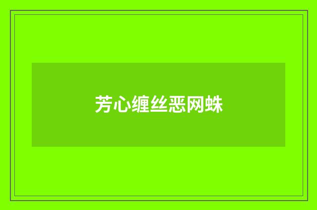 芳心缠丝恶网蛛