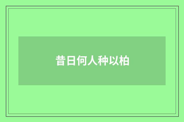 昔日何人种以柏