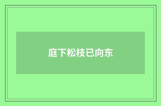 庭下松枝已向东