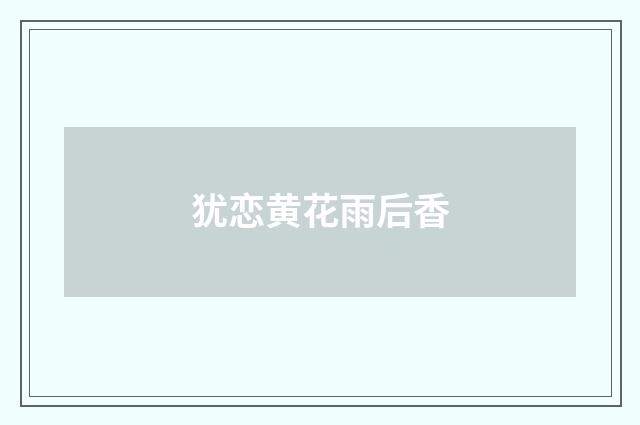 犹恋黄花雨后香