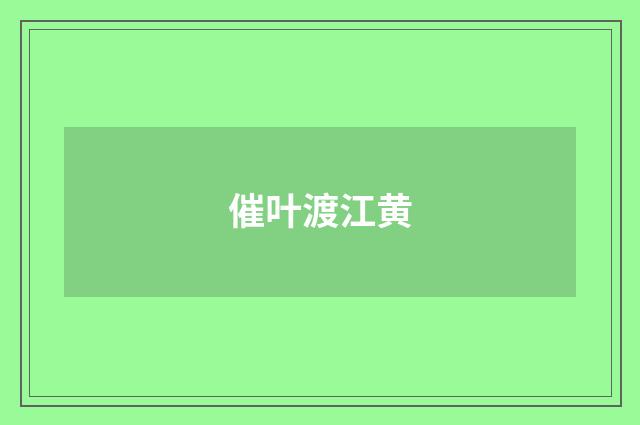 催叶渡江黄