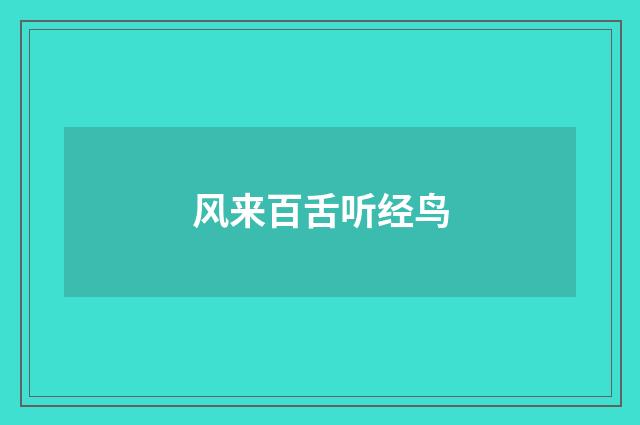 风来百舌听经鸟
