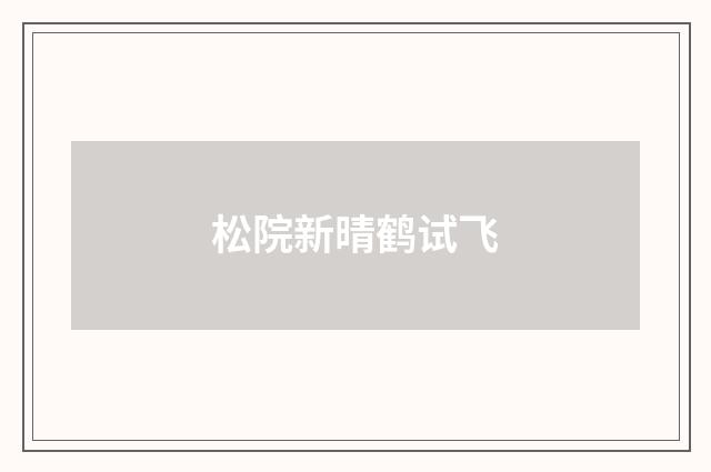 松院新晴鹤试飞
