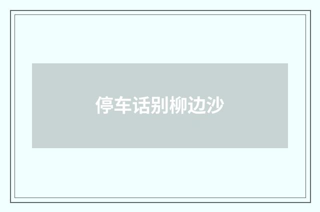 停车话别柳边沙