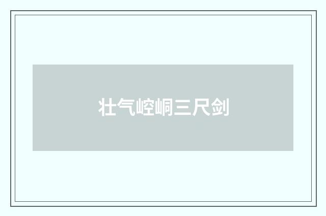壮气崆峒三尺剑