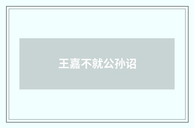 王嘉不就公孙诏