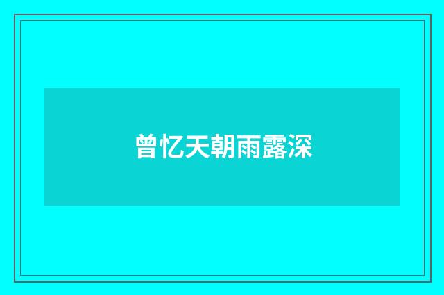 曾忆天朝雨露深