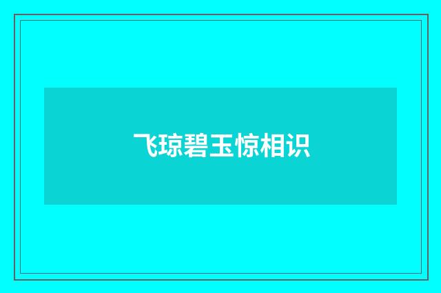 飞琼碧玉惊相识