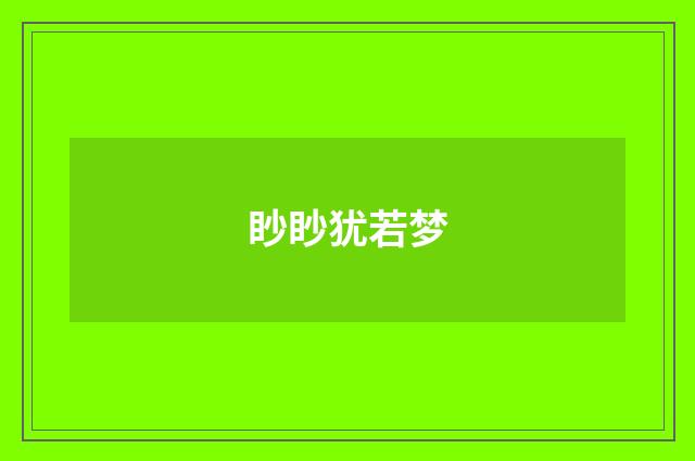 眇眇犹若梦
