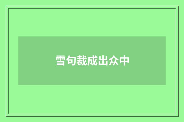 雪句裁成出众中