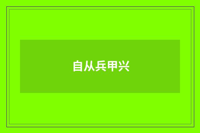 自从兵甲兴