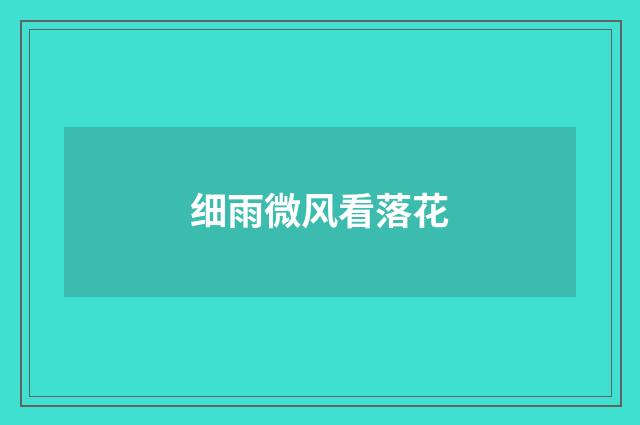 细雨微风看落花