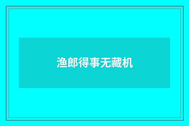 渔郎得事无藏机