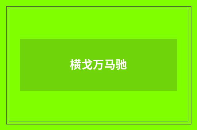 横戈万马驰