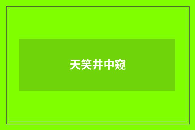 天笑井中窥