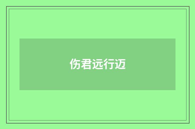 伤君远行迈