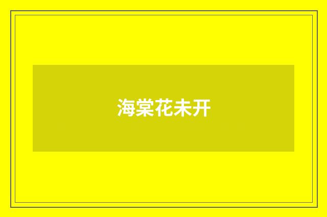海棠花未开