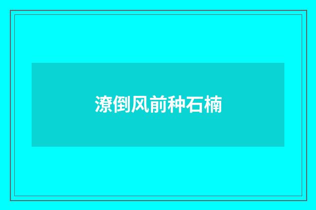 潦倒风前种石楠