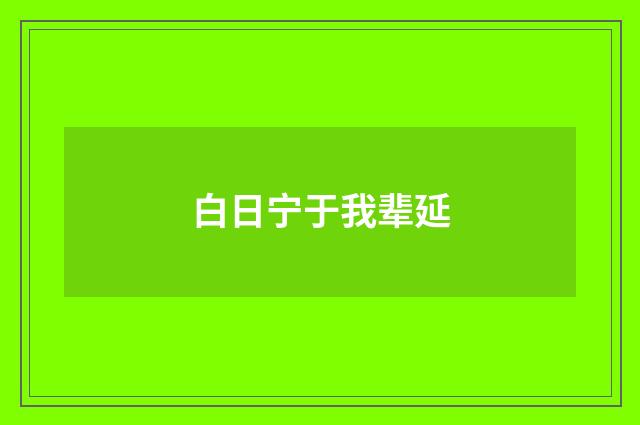 白日宁于我辈延
