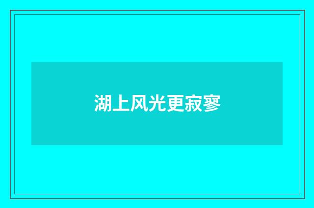 湖上风光更寂寥