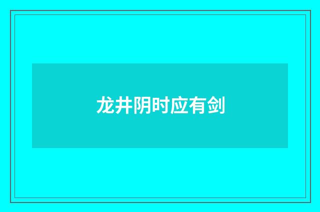 龙井阴时应有剑