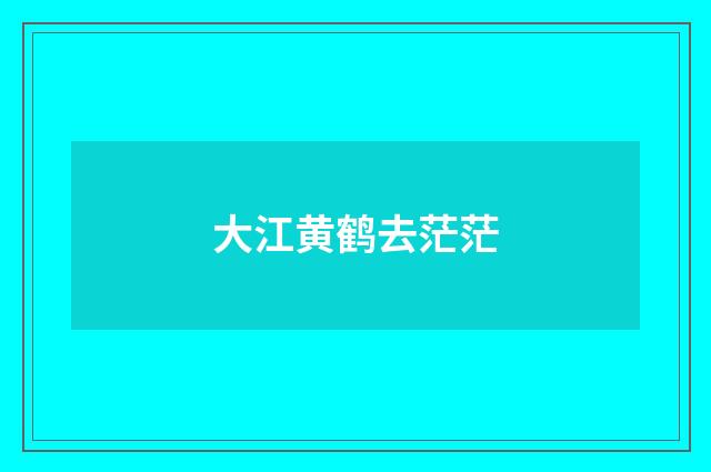 大江黄鹤去茫茫