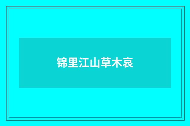 锦里江山草木哀