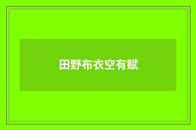 田野布衣空有赋