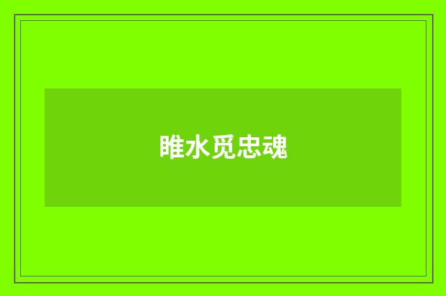 睢水觅忠魂
