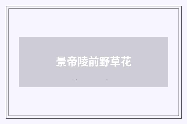 景帝陵前野草花