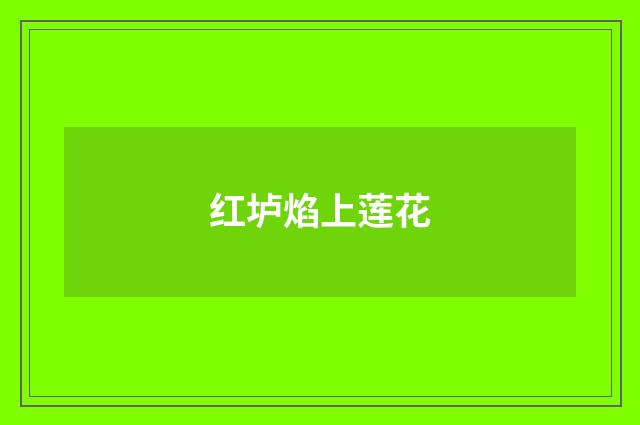 红垆焰上莲花