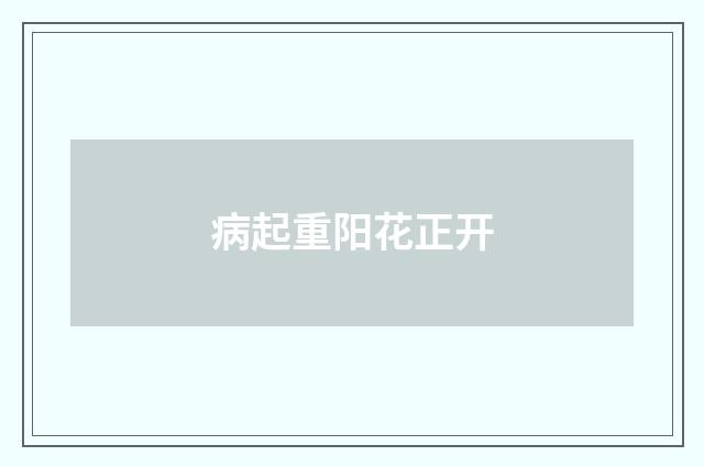 病起重阳花正开