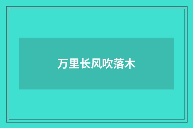 万里长风吹落木