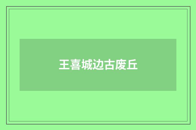 王喜城边古废丘