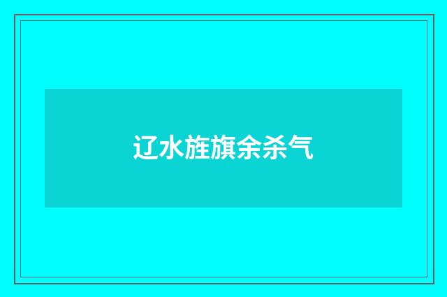 辽水旌旗余杀气
