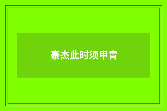豪杰此时须甲胄