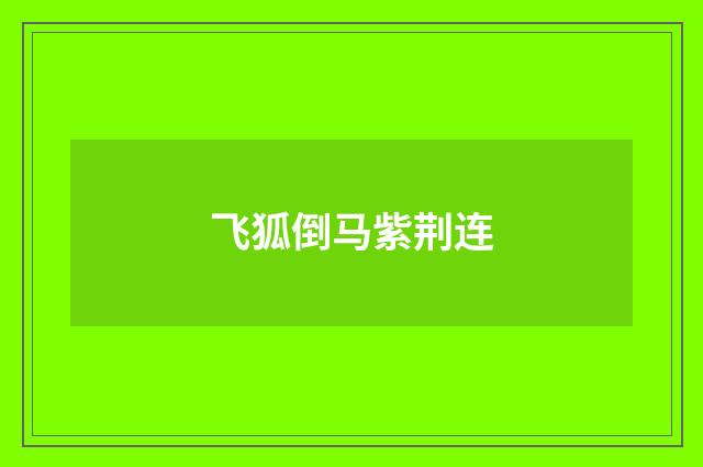 飞狐倒马紫荆连