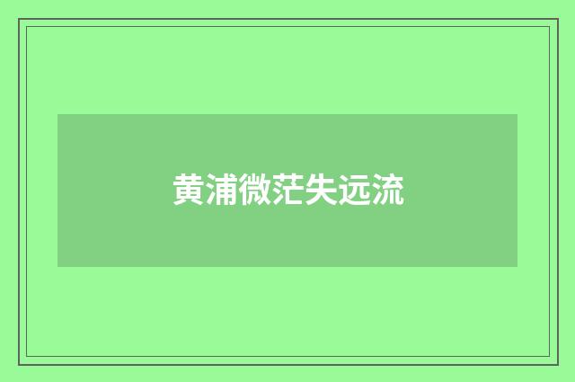 黄浦微茫失远流
