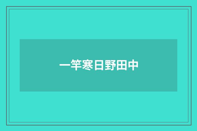 一竿寒日野田中