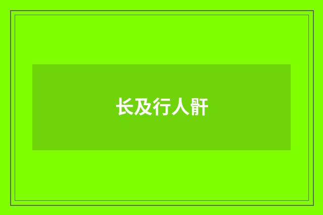 长及行人骭