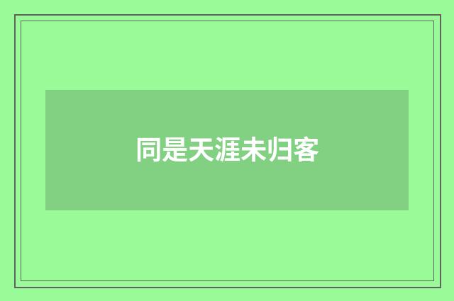 同是天涯未归客